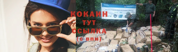 стаф Балахна