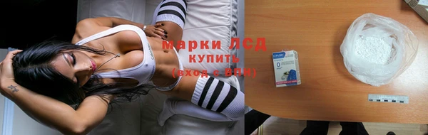 стаф Балахна