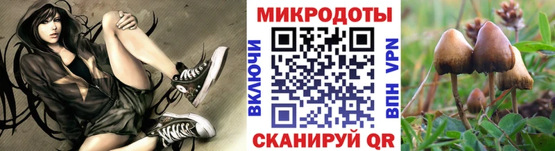 Галлюциногенные грибы Cubensis  Барабинск 